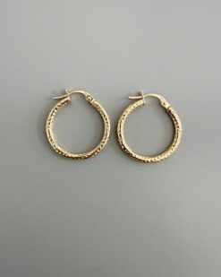 Elegant Hoops Earrings