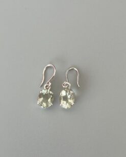 Fortune Silver Earring