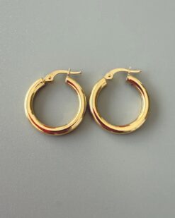 Bold Big Hoop Earrings (1.76)
